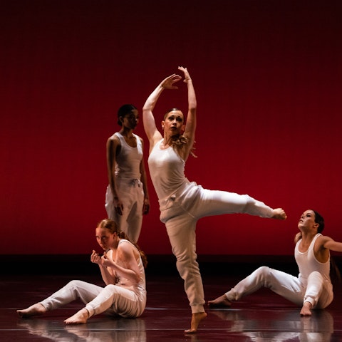 See Chicago Dance member South Chicago Dance Theatre at Harris Theater for Music and Dance.